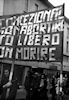 manifestazione del 24-1-1976